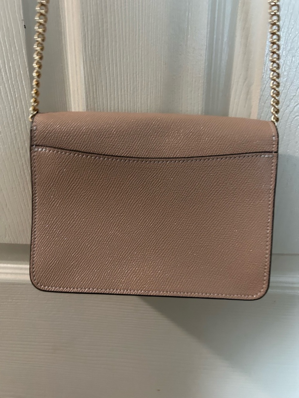 Mini Classic Crossbody Bag in Dusty Rose with Gold Hardware - Picture 2 of 4